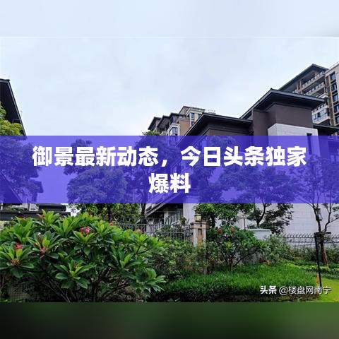 御景最新动态，今日头条独家爆料