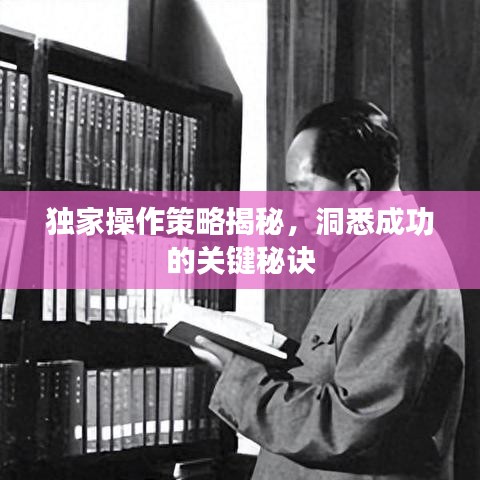 独家操作策略揭秘，洞悉成功的关键秘诀