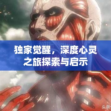 独家觉醒，深度心灵之旅探索与启示