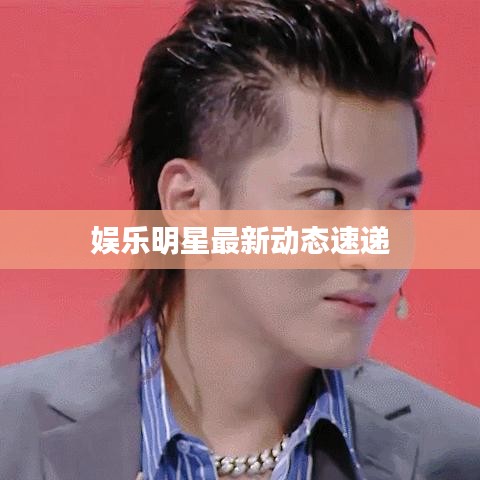 娱乐明星最新动态速递