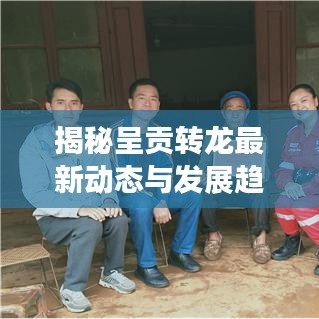 揭秘呈贡转龙最新动态与发展趋势，新闻头条速递