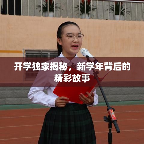 成功案例 第12页