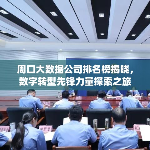 周口大数据公司排名榜揭晓，数字转型先锋力量探索之旅
