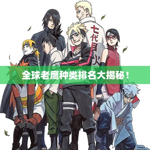 全球老鹰种类排名大揭秘！