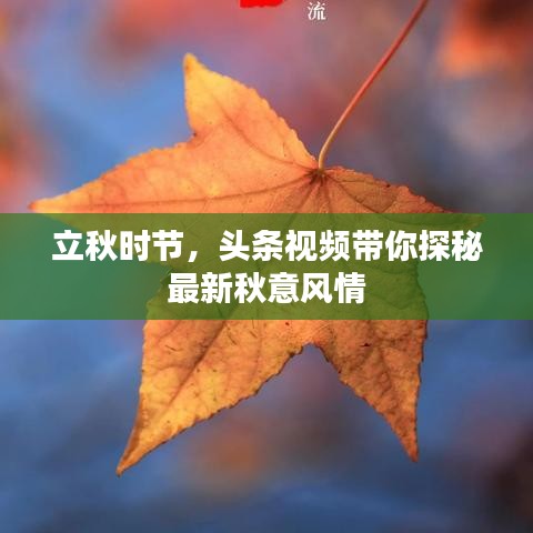 立秋时节，头条视频带你探秘最新秋意风情