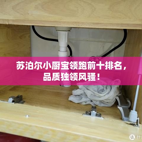苏泊尔小厨宝领跑前十排名，品质独领风骚！