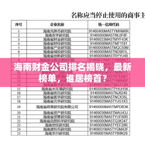 海南财金公司排名揭晓，最新榜单，谁居榜首？