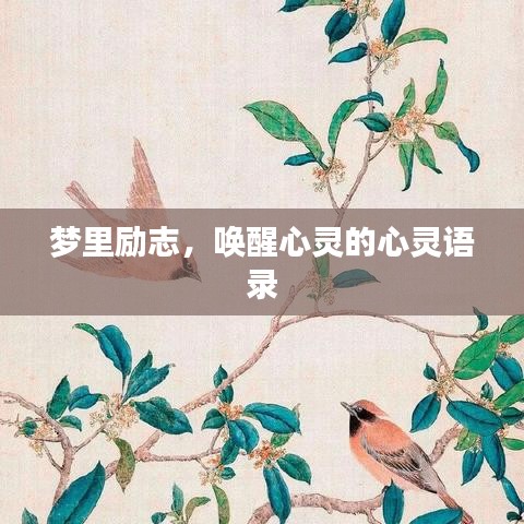 梦里励志，唤醒心灵的心灵语录
