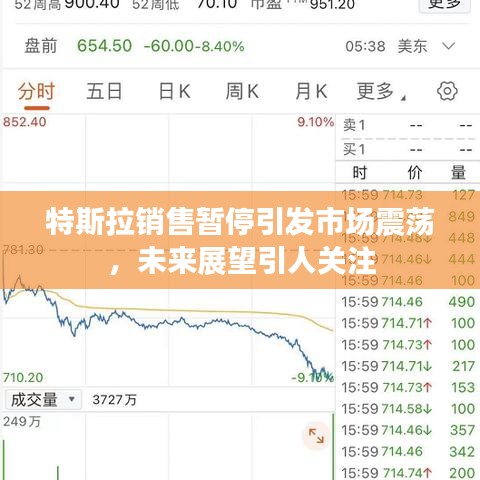 特斯拉销售暂停引发市场震荡，未来展望引人关注