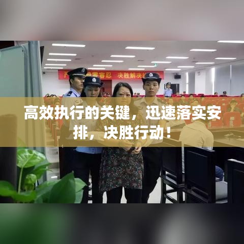 高效执行的关键，迅速落实安排，决胜行动！