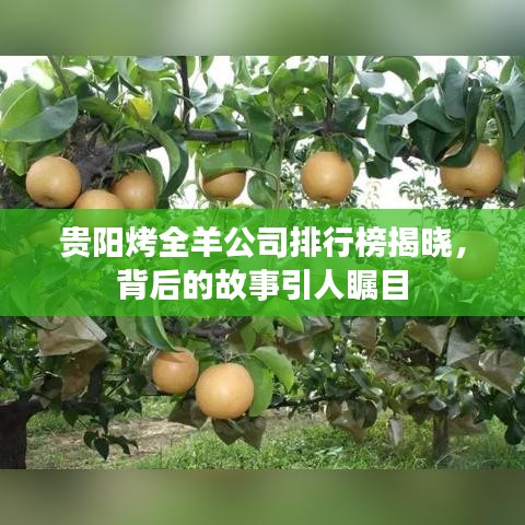 贵阳烤全羊公司排行榜揭晓，背后的故事引人瞩目