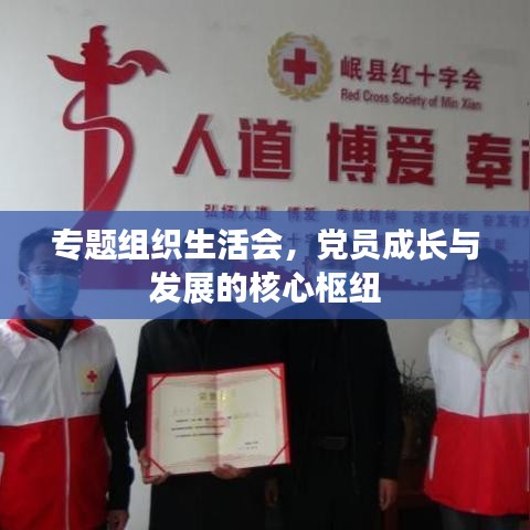 专题组织生活会，党员成长与发展的核心枢纽