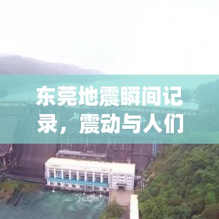 东莞地震瞬间记录，震动与人们的反应视频集锦震撼来袭！