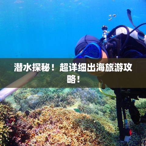 潜水探秘！超详细出海旅游攻略！