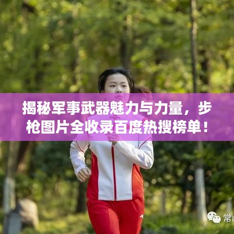 揭秘军事武器魅力与力量，步枪图片全收录百度热搜榜单！