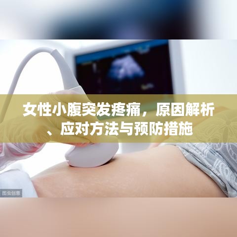 女性小腹突发疼痛，原因解析、应对方法与预防措施