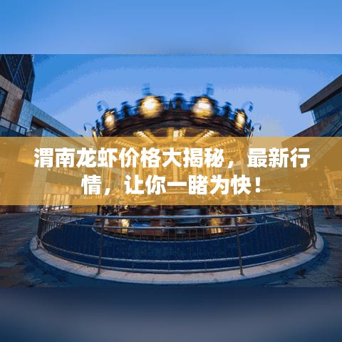 成功案例 第9页
