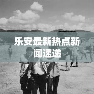 乐安最新热点新闻速递