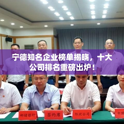 宁德知名企业榜单揭晓，十大公司排名重磅出炉！