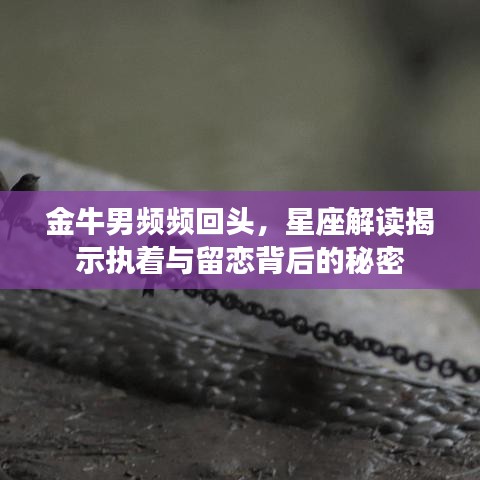 金牛男频频回头，星座解读揭示执着与留恋背后的秘密