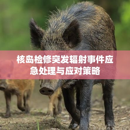 核岛检修突发辐射事件应急处理与应对策略