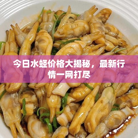 今日水蛏价格大揭秘，最新行情一网打尽