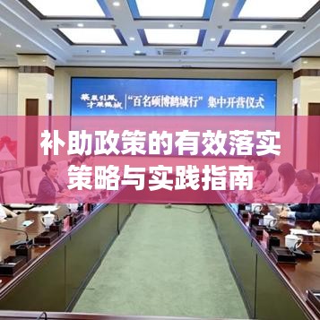 补助政策的有效落实策略与实践指南