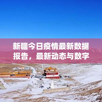 新疆今日疫情最新数据报告，最新动态与数字解读