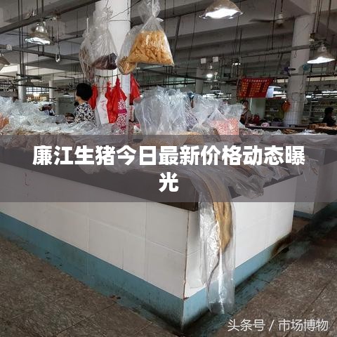 廉江生猪今日最新价格动态曝光