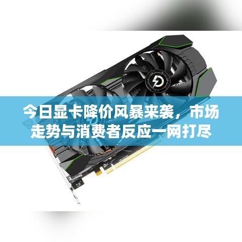 服务项目 第7页