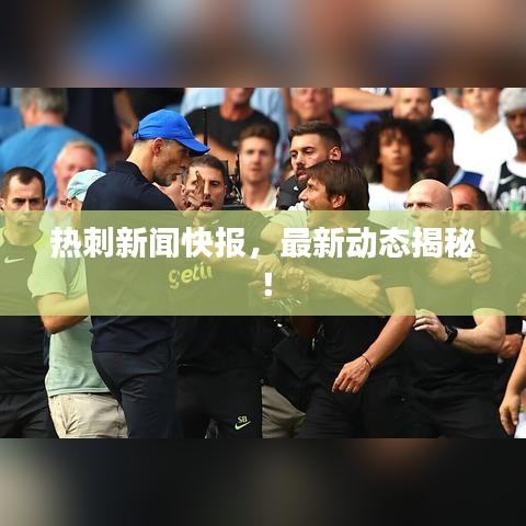 热刺新闻快报，最新动态揭秘！