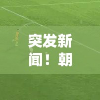 突发新闻！朝鲜最新动态揭秘