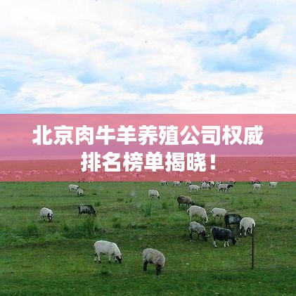 北京肉牛羊养殖公司权威排名榜单揭晓！