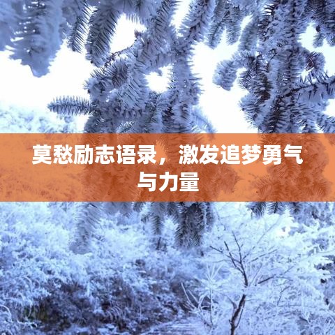 莫愁励志语录，激发追梦勇气与力量