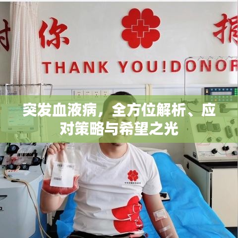 突发血液病，全方位解析、应对策略与希望之光
