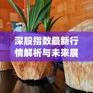 深股指数最新行情解析与未来展望