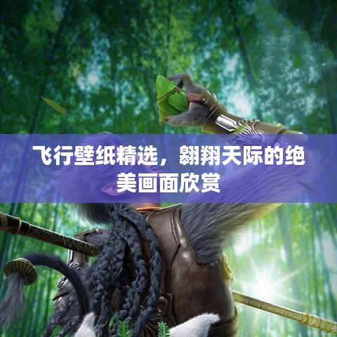 飞行壁纸精选，翱翔天际的绝美画面欣赏