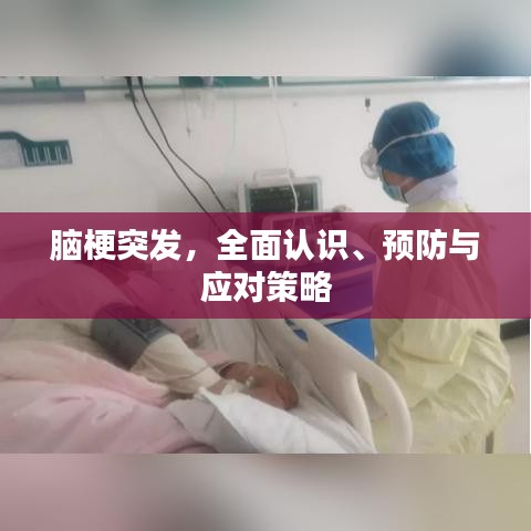 成功案例 第6页