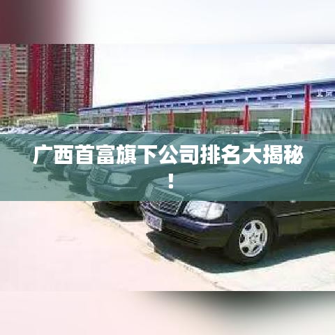 广西首富旗下公司排名大揭秘！