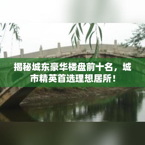 揭秘城东豪华楼盘前十名，城市精英首选理想居所！