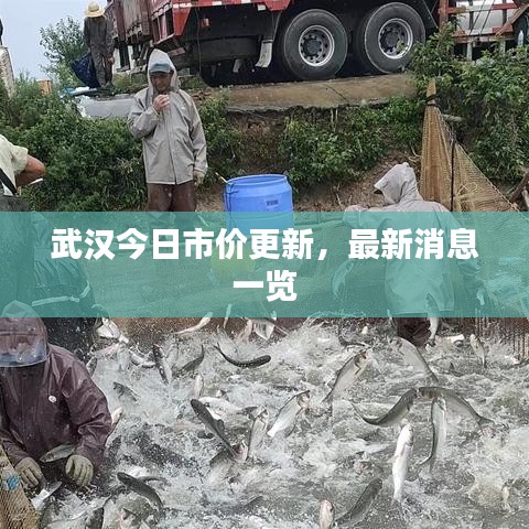 武汉今日市价更新，最新消息一览