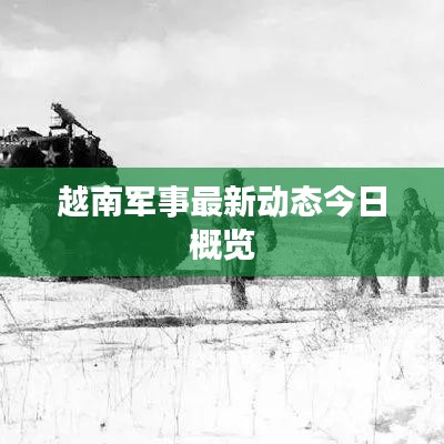 越南军事最新动态今日概览