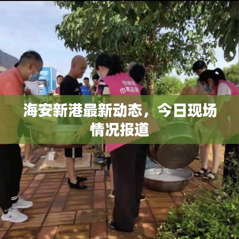 海安新港最新动态，今日现场情况报道