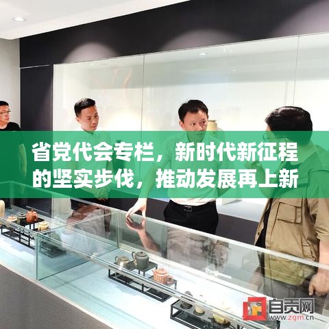 省党代会专栏，新时代新征程的坚实步伐，推动发展再上新台阶