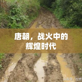 唐朝，战火中的辉煌时代