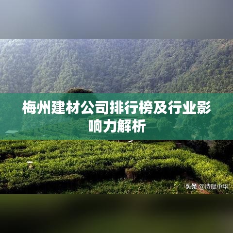 梅州建材公司排行榜及行业影响力解析