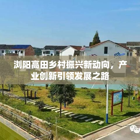 浏阳高田乡村振兴新动向，产业创新引领发展之路