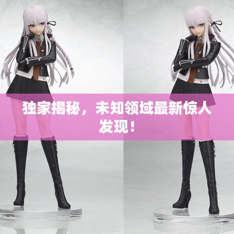 独家揭秘，未知领域最新惊人发现！