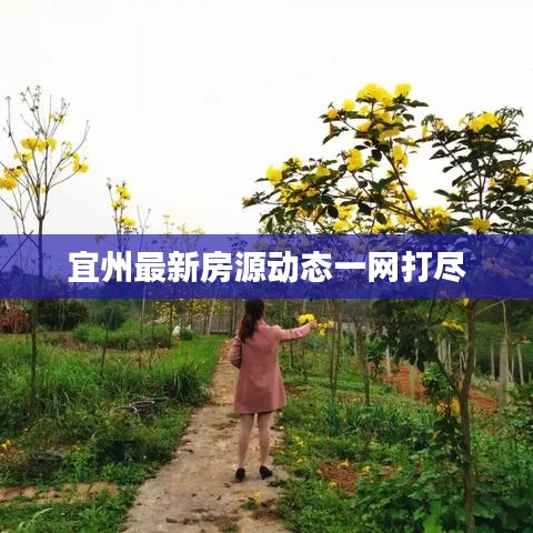 宜州最新房源动态一网打尽