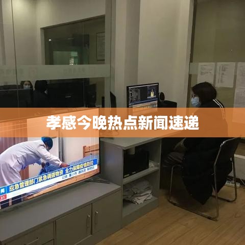 孝感今晚热点新闻速递